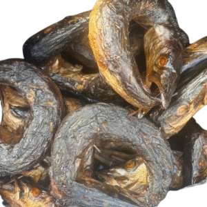 SMOKE BARRACUDA ( BROCHET FUMÉ)